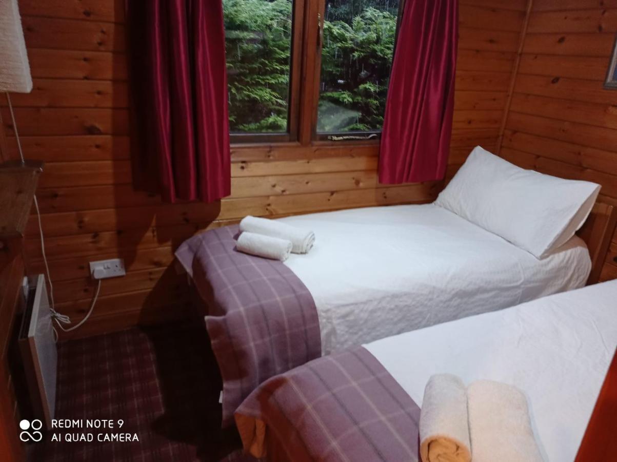 Lurchers Cabin 阿维莫尔 外观 照片