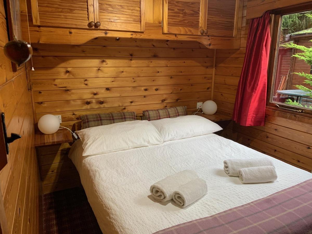 Lurchers Cabin 阿维莫尔 外观 照片