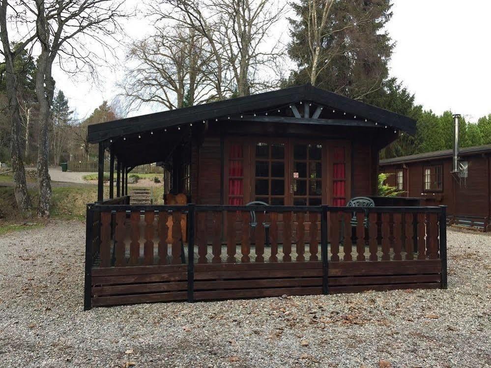 Lurchers Cabin 阿维莫尔 外观 照片