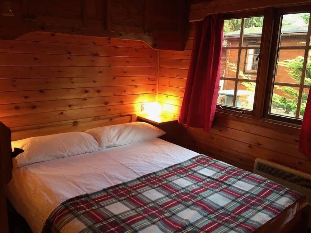 Lurchers Cabin 阿维莫尔 外观 照片